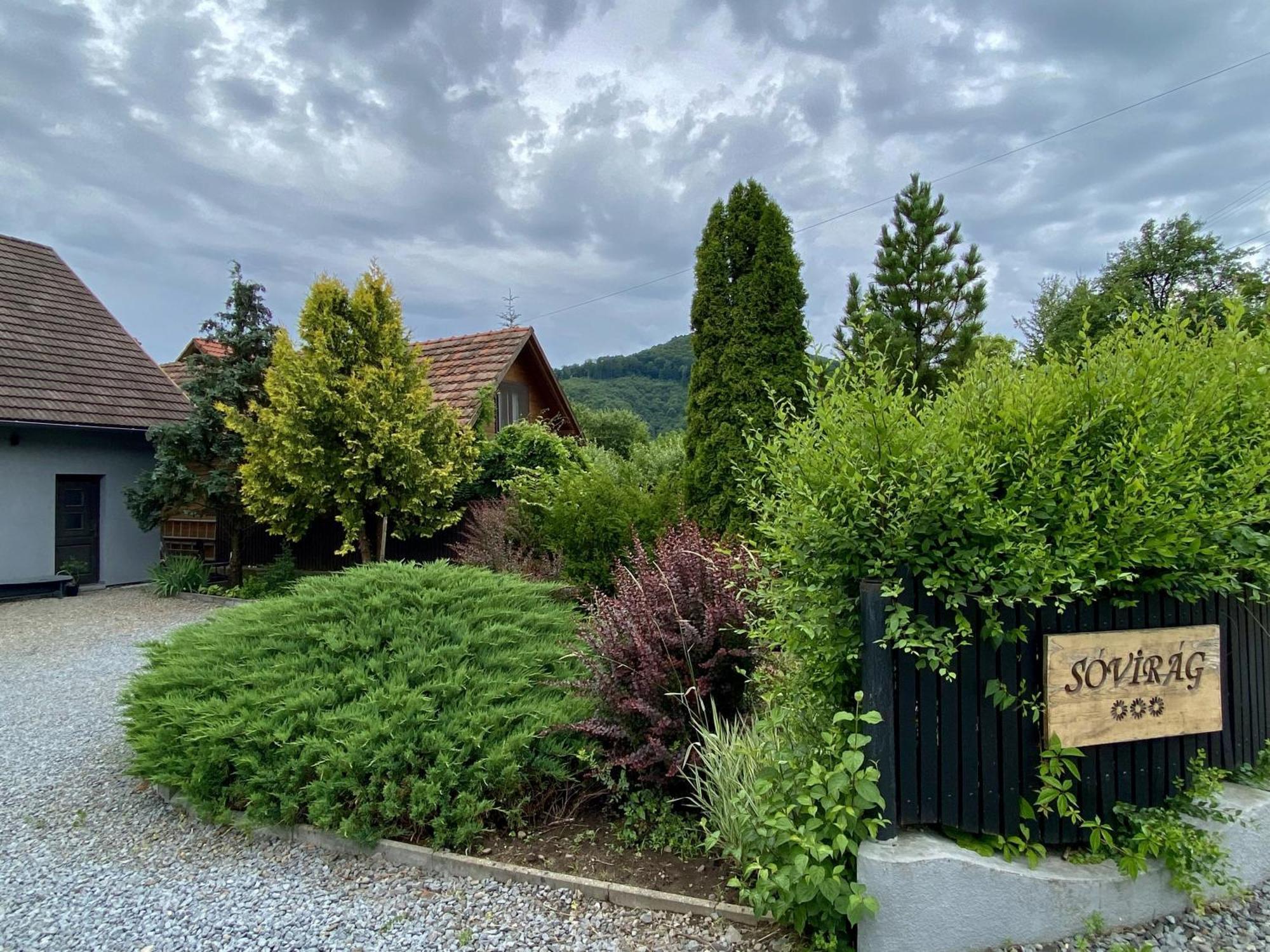 Pensiunea Sovirag Praid Buitenkant foto