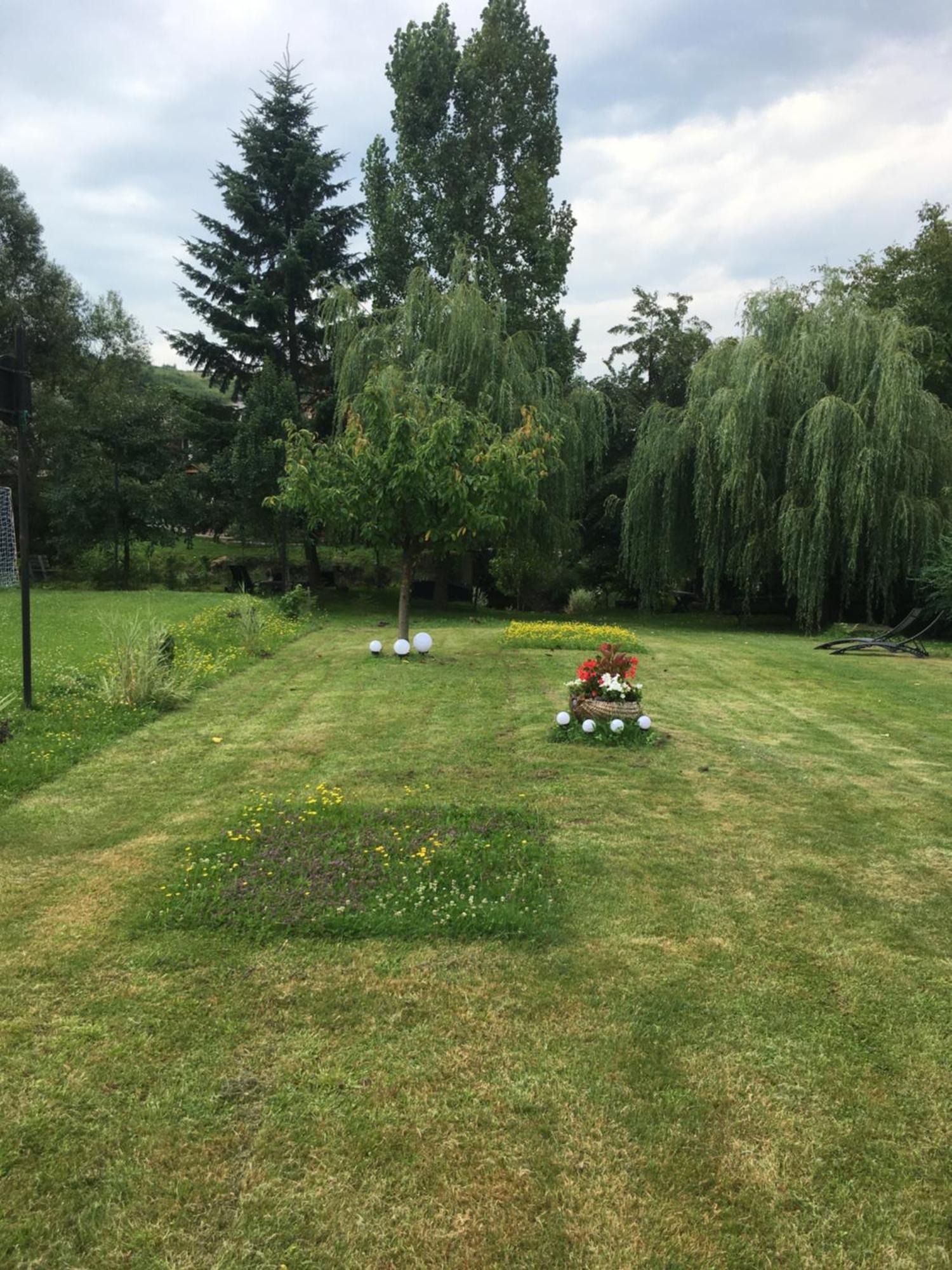 Pensiunea Sovirag Praid Buitenkant foto